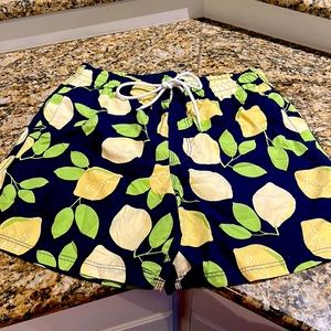 Men’s Southern Proper Swim Trunks